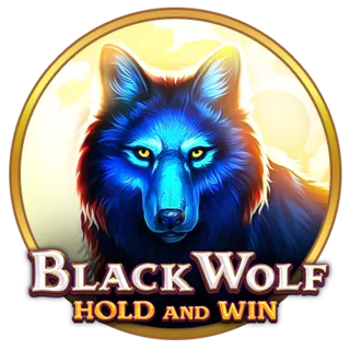 Black Wolf Hold and Win