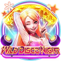 Wild Disco Night
