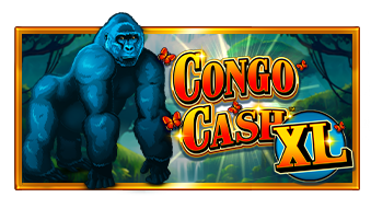 Congo Cash Xl