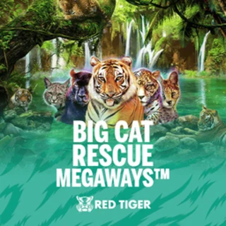Big Cat Rescue Megaways™
