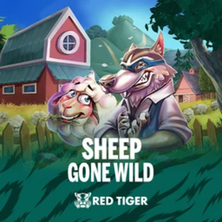 Sheep Gone Wild 