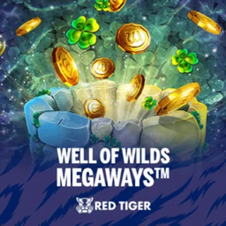 Well of Wilds Megaways™