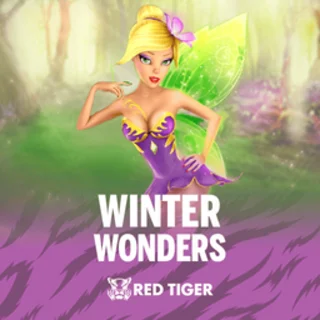 Winter Wonders