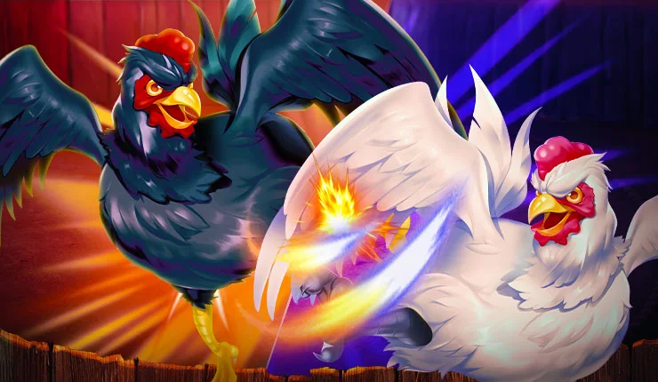 Cockfighting